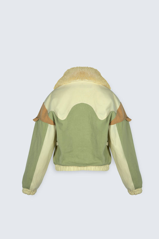 Yellow, Mustard, Green Shirt Collar